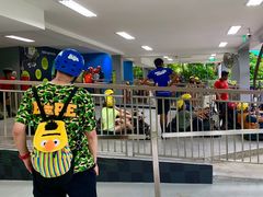 -圣淘沙天际线斜坡滑车
