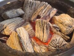 -农乐园炭火烤肉(繁花中心店)