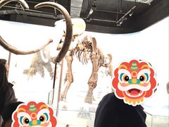 -辽宁古生物博物馆