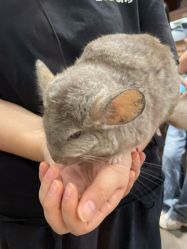 -Zoolung Zoolung动物主题公园(海信广场店)