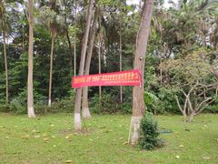 -广西壮族自治区药用植物园