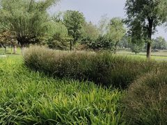 -汉长安城未央宫国家考古遗址公园