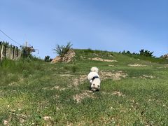 -乌素图国家森林公园