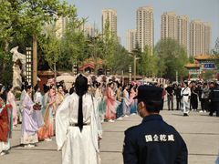 -曹州牡丹园