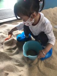 -恐龙探索乐园(磁器口店)