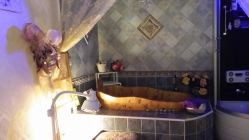 20141227_163556-克丽缇娜