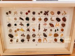 -二酉书店TOYOU BOOKS