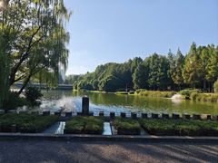 -滨湖塘西河公园