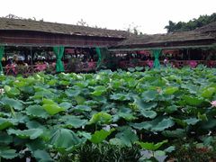 iphone_upload_pic-荷香居(洞企石路店)
