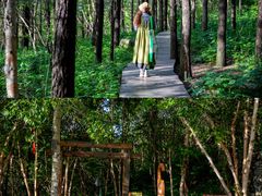 -白草畔自然风景区