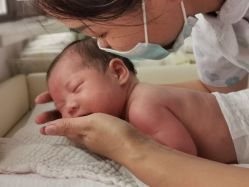 -海豚湾高端月子会所(黄浦店)