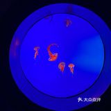 南京海底世界夜场开了[吐]