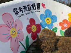 -荷兰花海