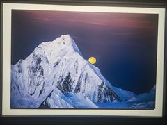 -罗红摄影艺术馆