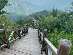 -大岭沟猕猴桃谷风景区
