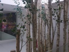 -极简口腔(总院)