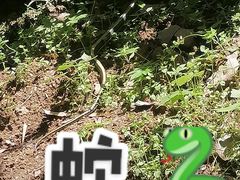 -盛世牡丹苑生态文化旅游区