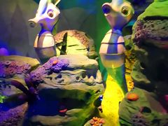 -青岛嘉年华主题乐园