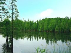 -白鹭湾湿地公园