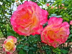 -国家植物园南园