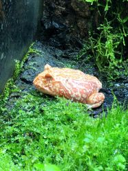 -酷嗒动物文化乐园(cutezoo西溪乐天城店)