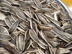 -京朋串屋·烧烤(望京西路总店)