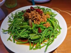 -菌自由丨野生菌火锅特色庭院餐厅(丽江古城店)