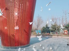 -南宫五洲植物乐园