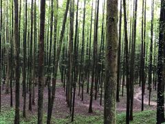 -山王坪喀斯特国家生态公园