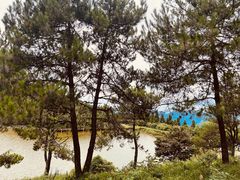 -永泰中国云顶