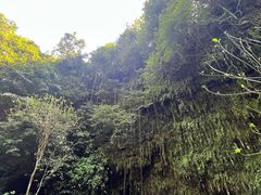 -海口火山口国家地质公园