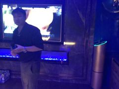 -宝岛甲壳虫KTV(蓝天路店)