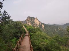-大岭沟猕猴桃谷风景区