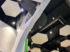 -中国宋庆龄青少年科技文化交流中心