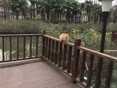 -上海怡沁园度假酒店
