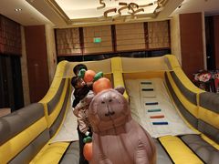 -廊坊固安福朋喜来登酒店