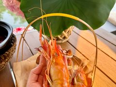 -欢乐蟹庄·精品农家乐(阳澄湖莲花岛店)