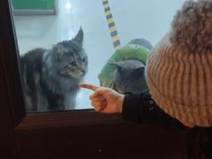 -宁波鄞州万达广场