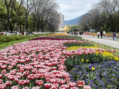 -玄武湖景区-情侣园游乐场