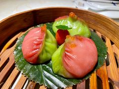 -点都德·毕德寮