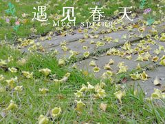 -文华公园(禅城区)