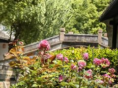 -黎里古镇