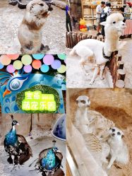 -宝燕乐园(闵行旗舰店)