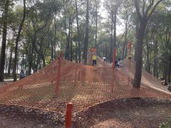 -东湖落雁景区