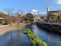 -富士山本宫浅间大社