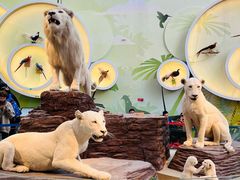 -陕西自然博物馆