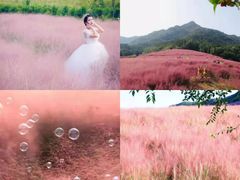 -羊亭河湿地公园