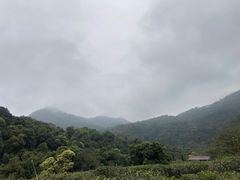 -鼎湖山风景区