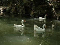 -兰亭风景区
