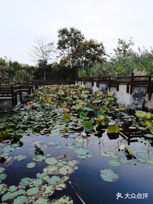 郑东新区湿地公园图片